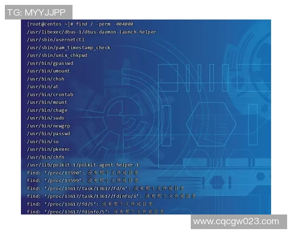 F1赛季技术规则变动对比赛策略的深远影响与应对分析