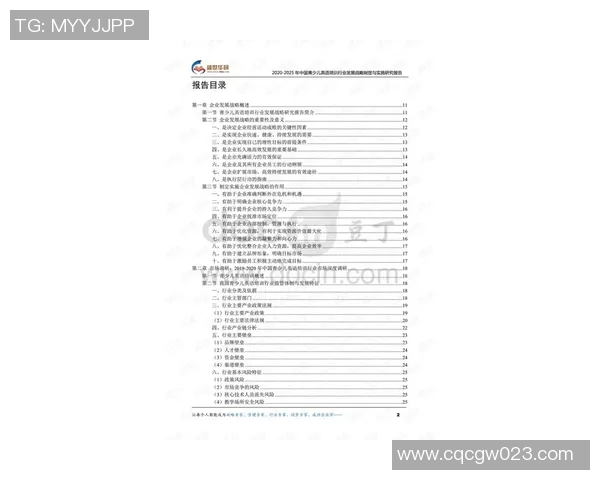 青训系统发展报告