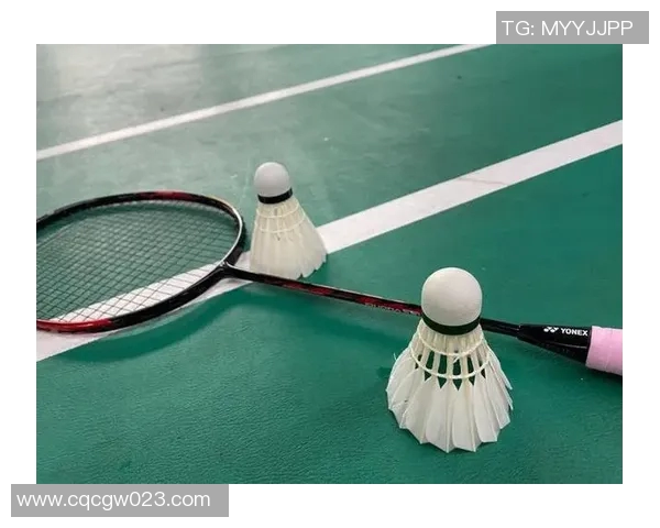 羽毛球训练设备创新及使用效果 羽毛球训练设备创新及使用效果