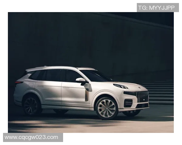 火箭评分出炉：是高光还是低迷？